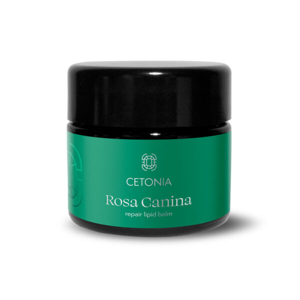 ROSA CANINA