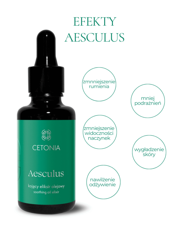 AESCULUS - obrazek 2